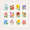 Peony, May Flower Sticker