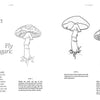 15-Minute Art Pen & Ink: Learn to Draw with Pen and Ink in Six Steps or Less