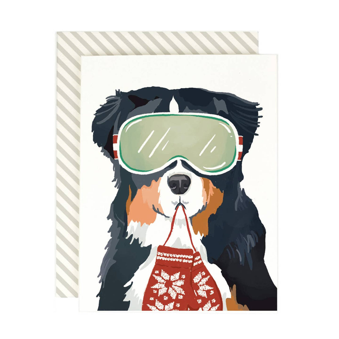 Bernese Ski Dog, Amy Heitman