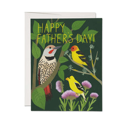 Bird Watching, Red Cap Cards