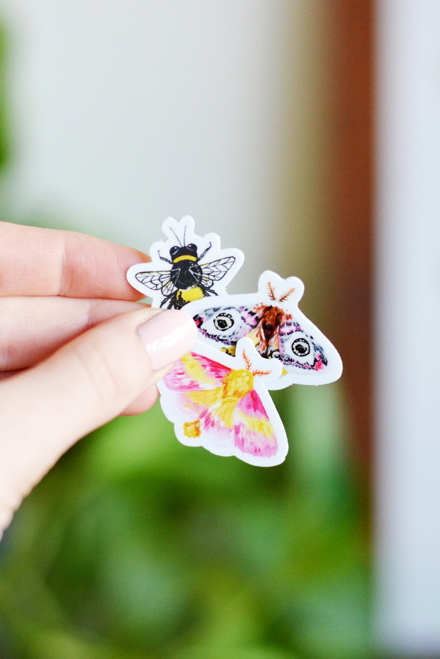 Tiny Rosy Maple Moth Sticker