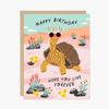 files/BirthdayTortoise.webp