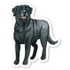 files/BlackLabradorSticker.webp