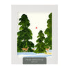 files/EvergreenGrove_Boxed_Set.webp