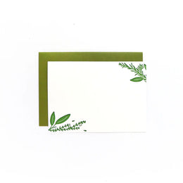 Herb Boxed Set, Middle Dune