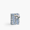 Hydrangea Gift Bag