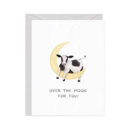 Over The Moon, Amy Zhang