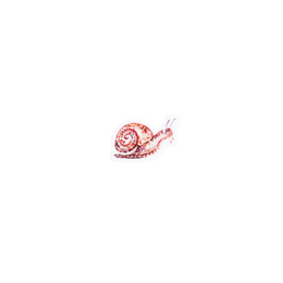 Tiny Snail Sticker