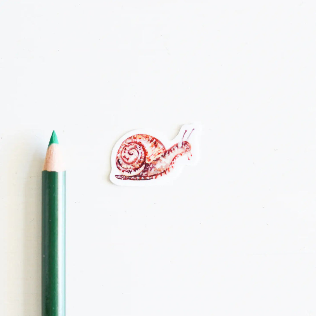 Tiny Snail Sticker