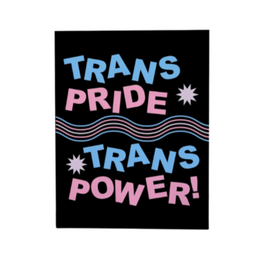 Trans Pride Trans Power, Ash + Chess