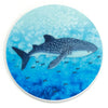 files/Whale-Shark-Sticker.webp