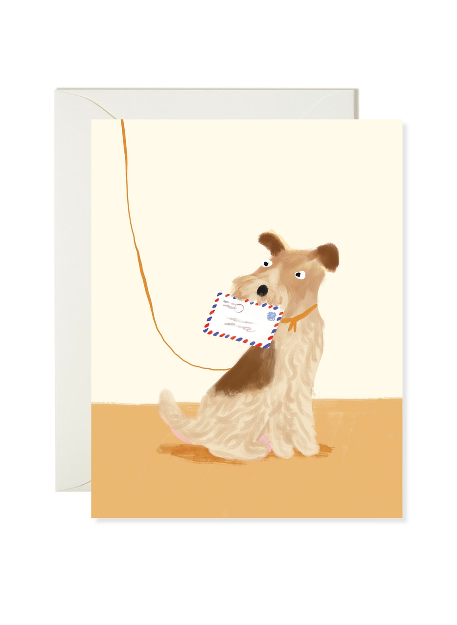 Mail Dog, Karen Schipper