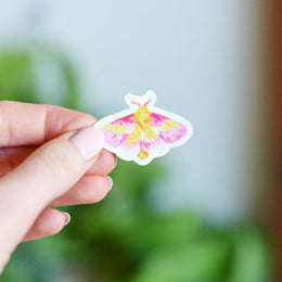 Tiny Rosy Maple Moth Sticker