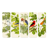 Birdsong Bookmark Set