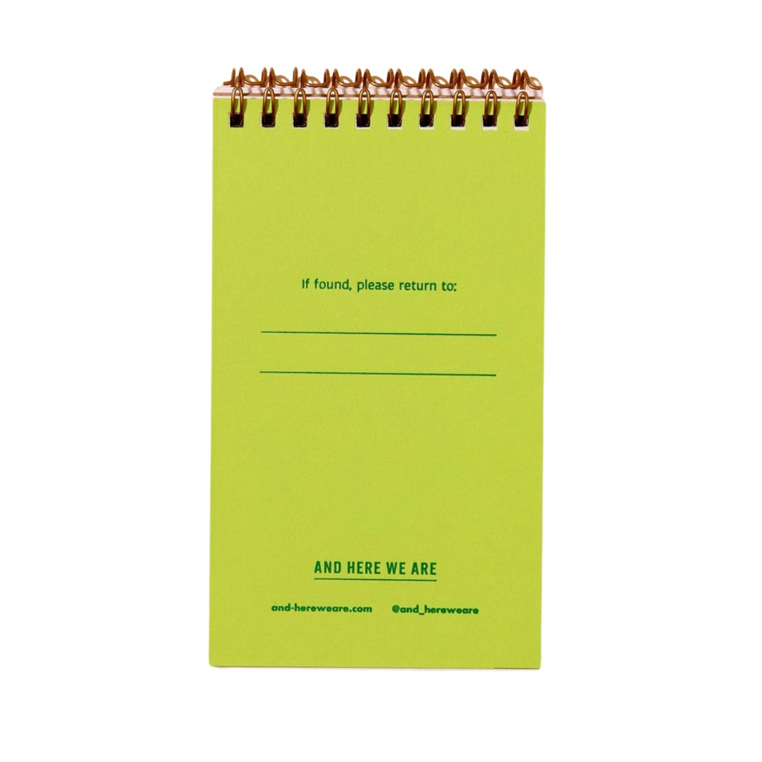 Blueberries Pocket Notebook