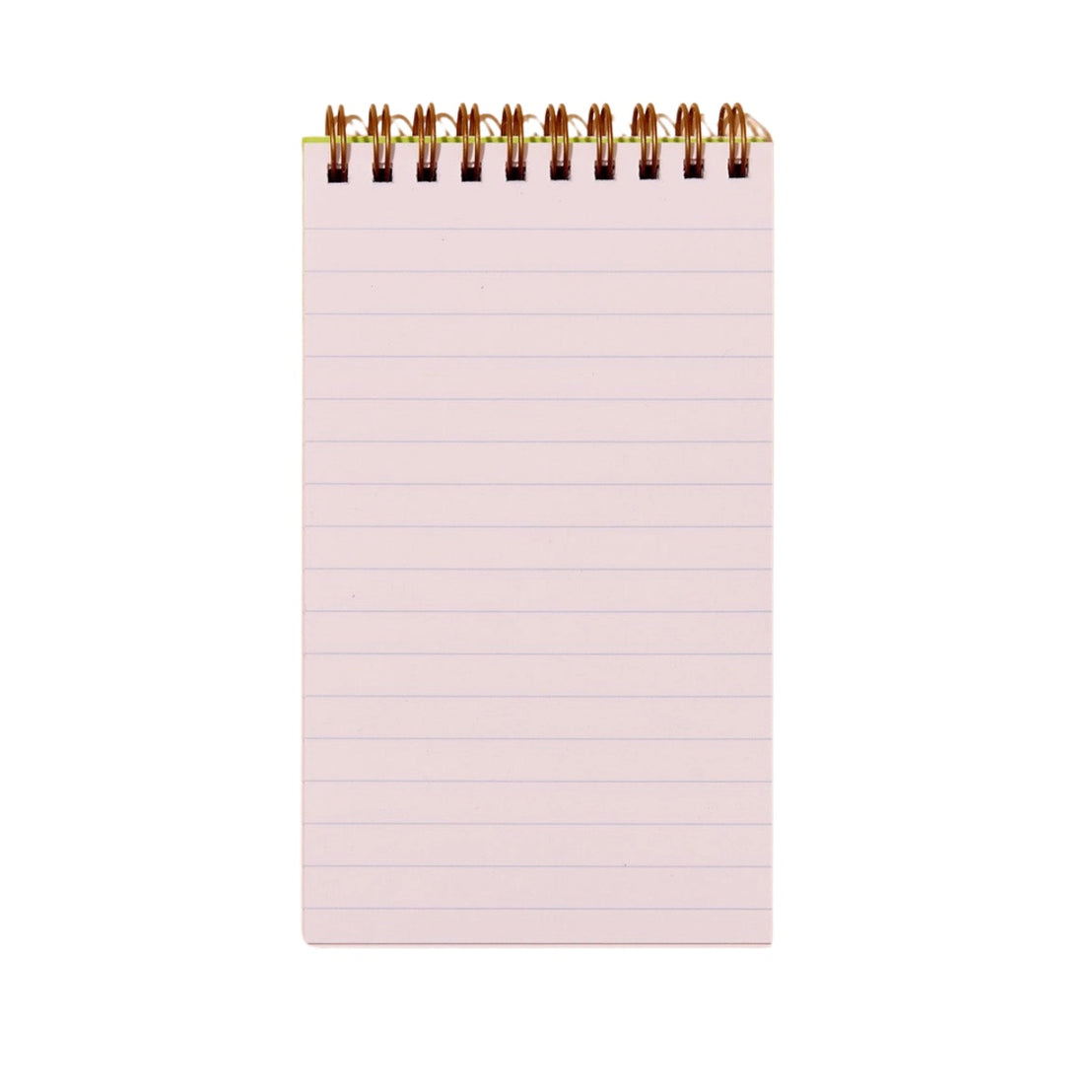 Blueberries Pocket Notebook