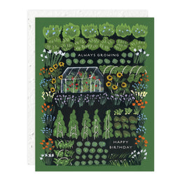 Garden Greenhouse, Seedlings