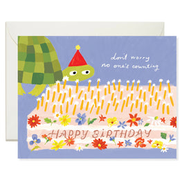 Turtle Birthday, Karen Schipper
