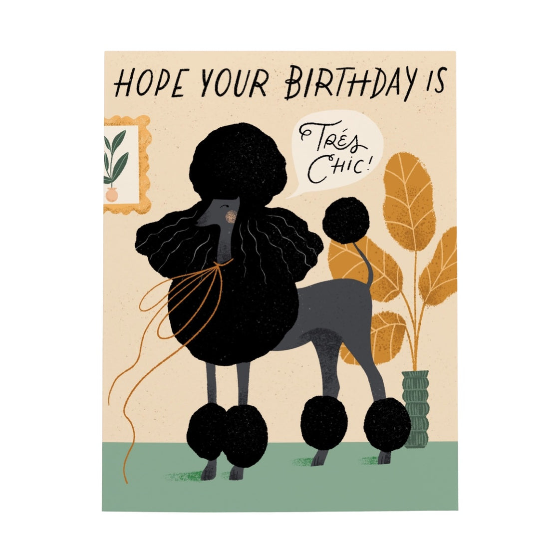 Tres Chic Poodle, Olive & Company
