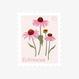 Echinacea, October Flower Stamp Sticker