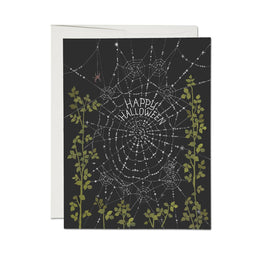 Delicate Spider Web, Red Cap Cards