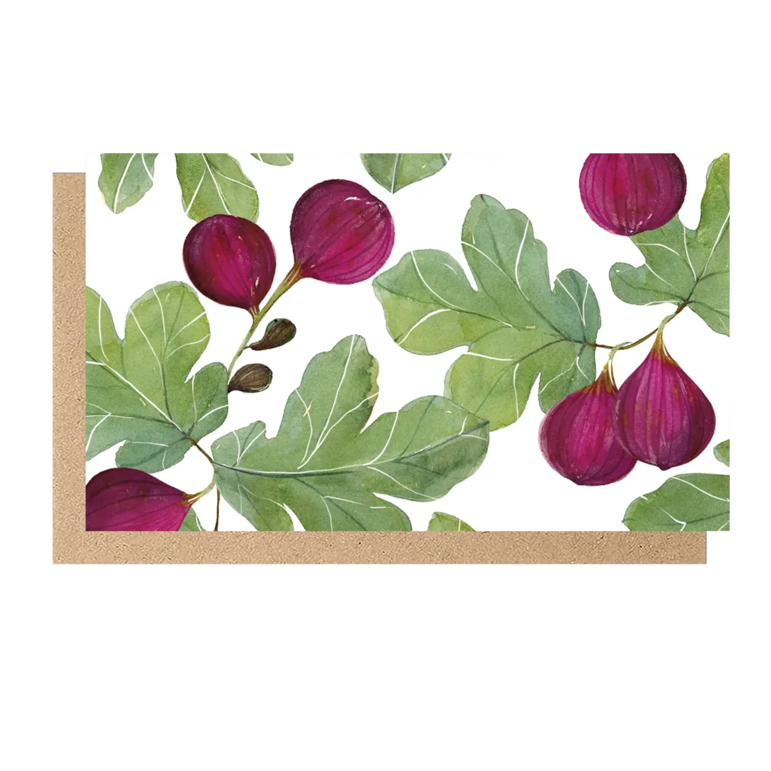 Figs Mini Enclosure Cards