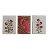 Sandook Ruby Boxed Cards, Paper Mirchi