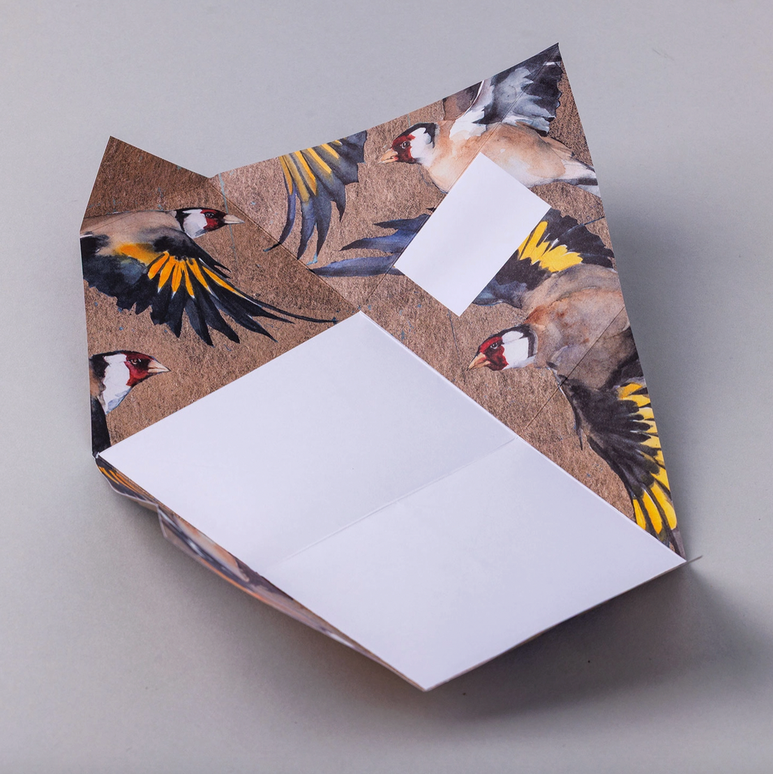 Golden Flight Pigeon Pack