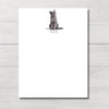 files/grey_cat.webp