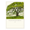 files/oakbook.webp