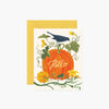 files/pumpkin-patch.webp
