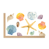 files/seashell.png