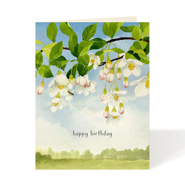 Birthday Snowbells, Felix Doolittle