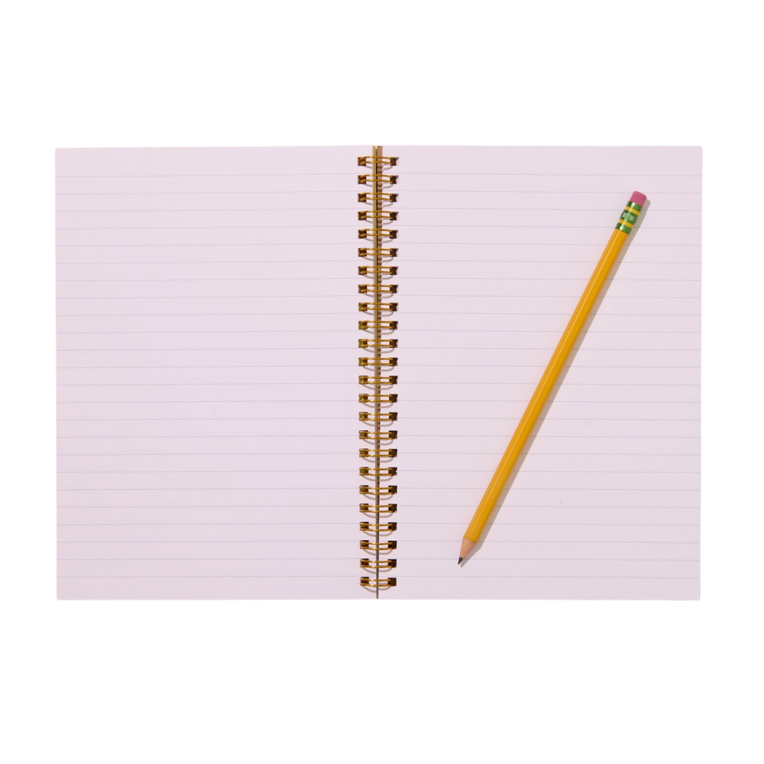 Rainbow Trout Notebook, And Here We Are