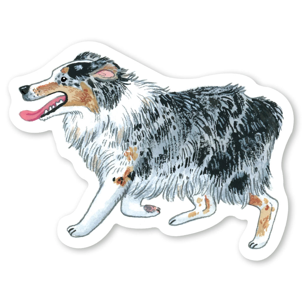 Australian Shepherd Sticker
