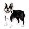 products/BostonTerrierSticker.jpg