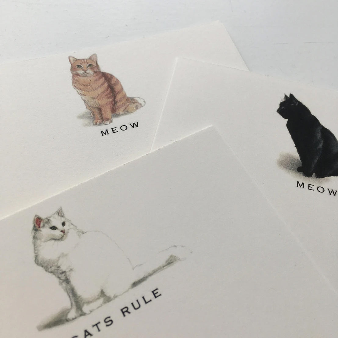 Mixed Cat Notecard Set, Fable & Sage