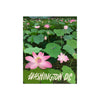 products/Lotus.jpg