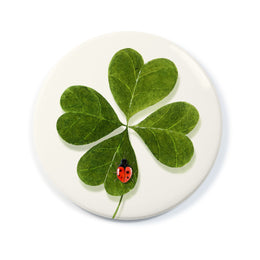Luckiest Lovebug Pocket Mirror