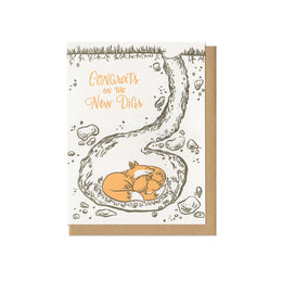 New Digs Foxes, Frog & Toad Press