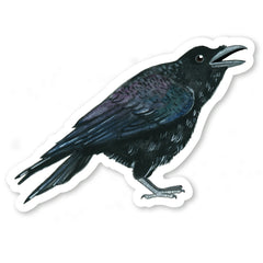 Raven Sticker