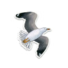 products/SeagullSticker.jpg