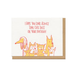 Cute Dogs Birthday, Frog & Toad Press