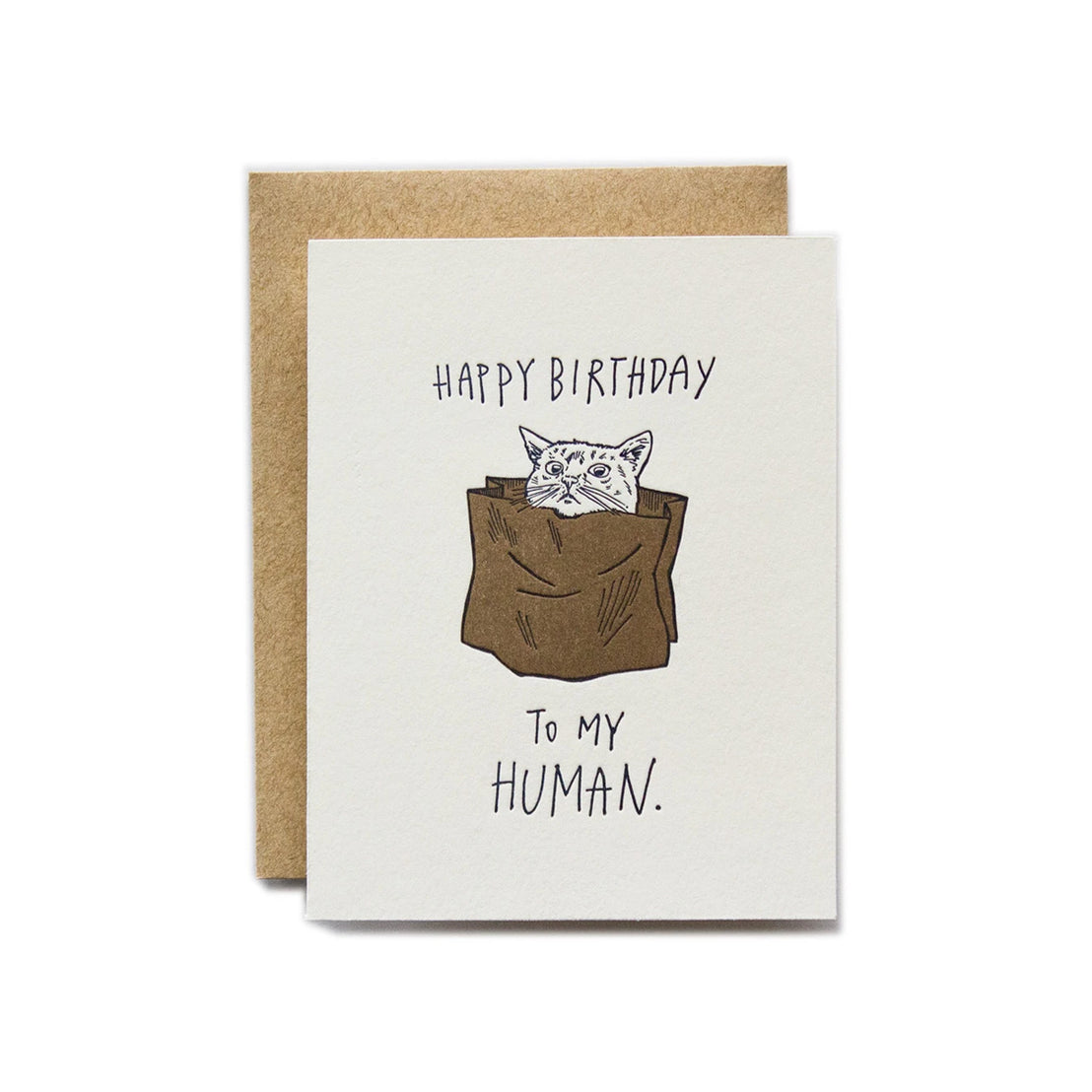 Happy Birthday Human Cat, Ladyfingers Letterpress