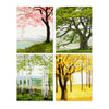 Trees Boxed Set, Felix Doolittle