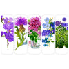 Violet Femmes Bookmark Set