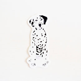 Dalmatian Sticker