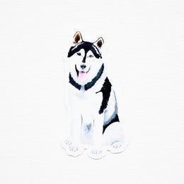 Husky Sticker