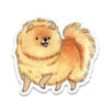 products/pomeranian.jpg