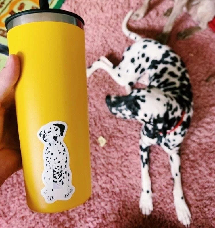 Dalmatian Sticker